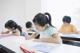 碧桂園·南大街 居于此，學府林立，人文氣韻涵養未來——從學前教育啟航